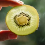 Aç Karna Kivi Yemek